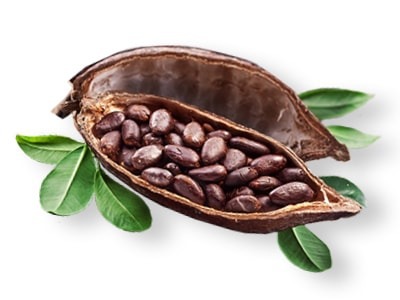 cabosse: il frutto da cui si ottiene il cacao